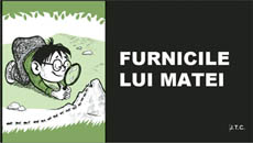 Furnicile lui Matei