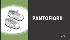 pantofiorii