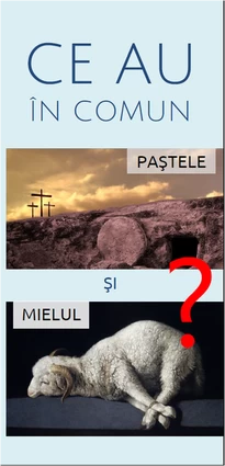 pastele si mielul